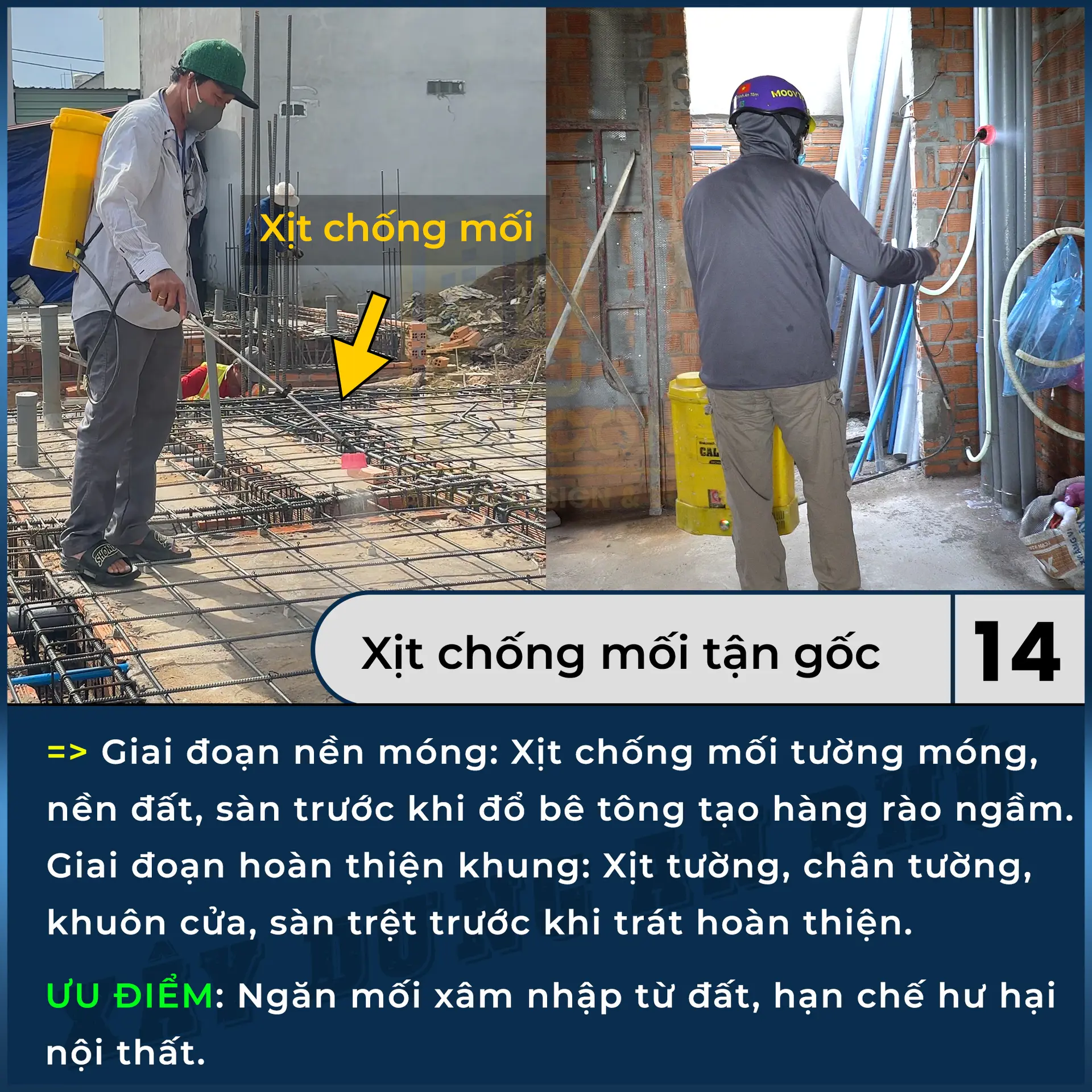 14. xịt chống mối